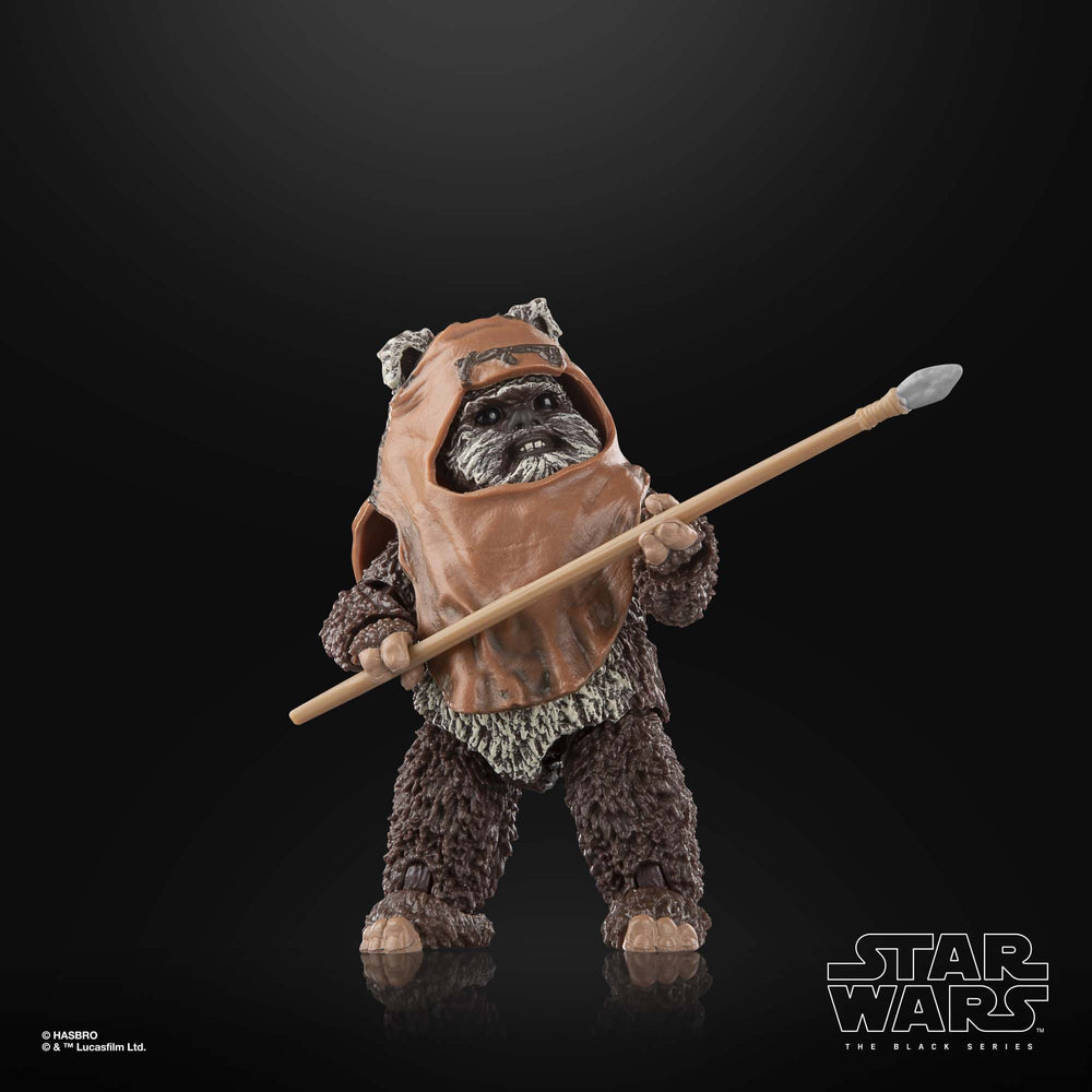 
                      
                        Star Wars - Wicket Actionfigur
                      
                    