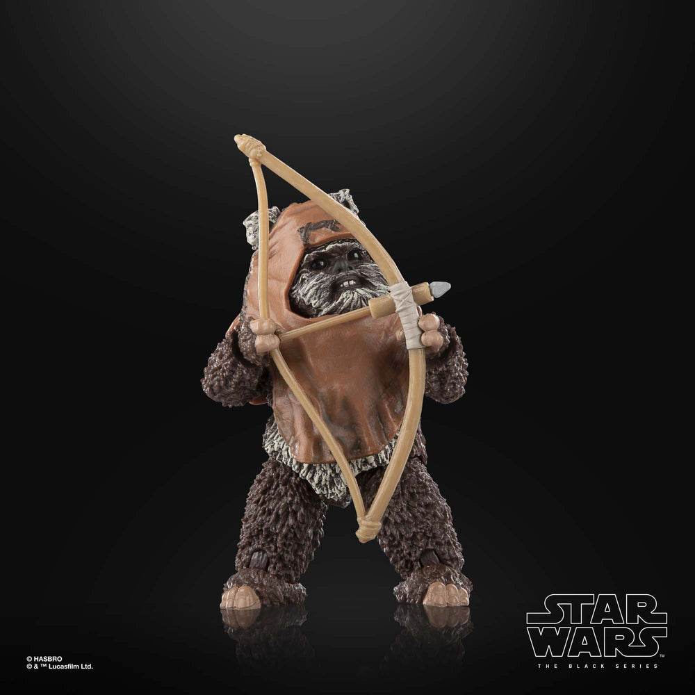 
                      
                        Star Wars - Wicket Actionfigur
                      
                    