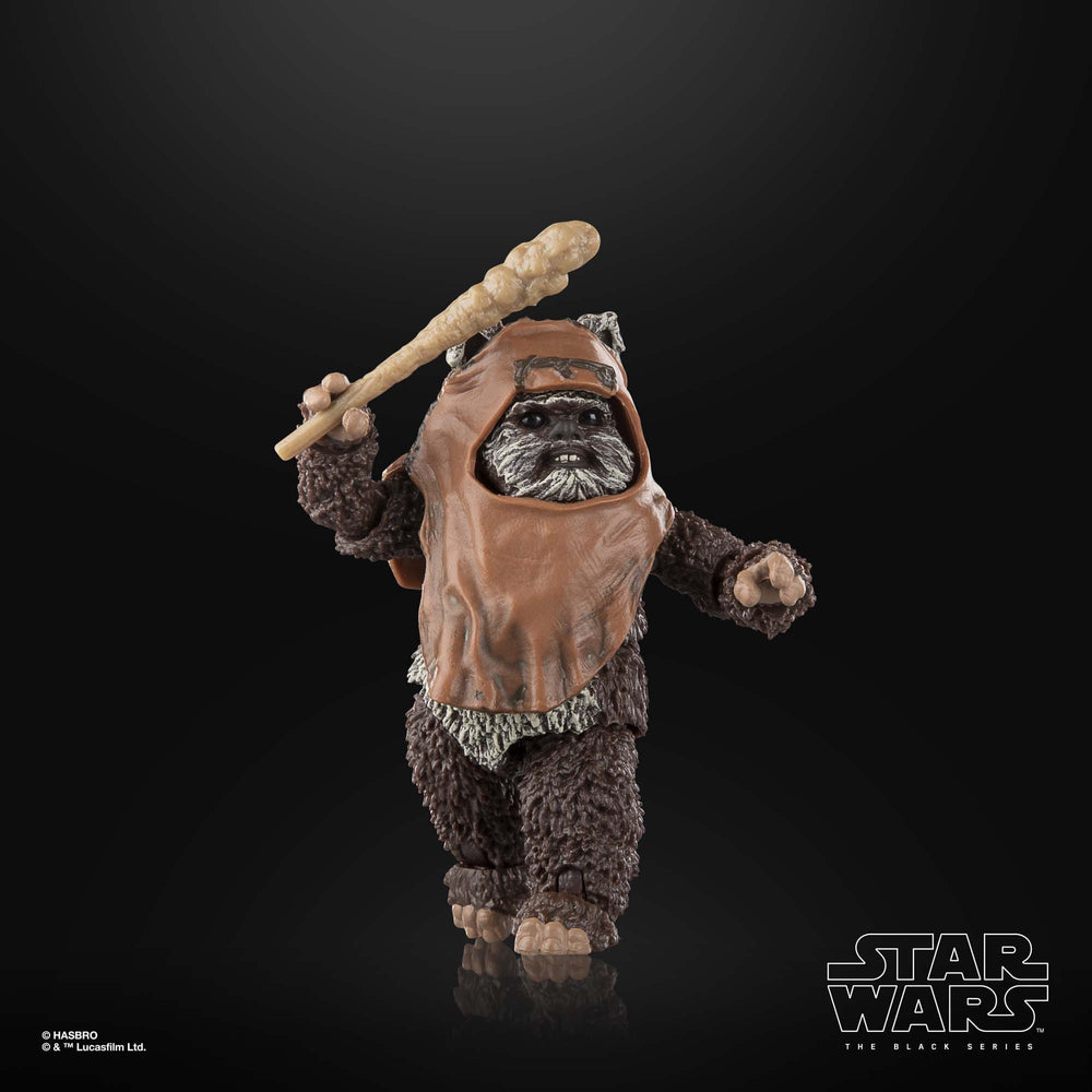 
                      
                        Star Wars - Wicket Actionfigur
                      
                    