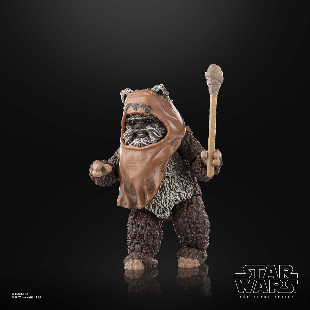 
                      
                        Star Wars - Wicket Actionfigur
                      
                    