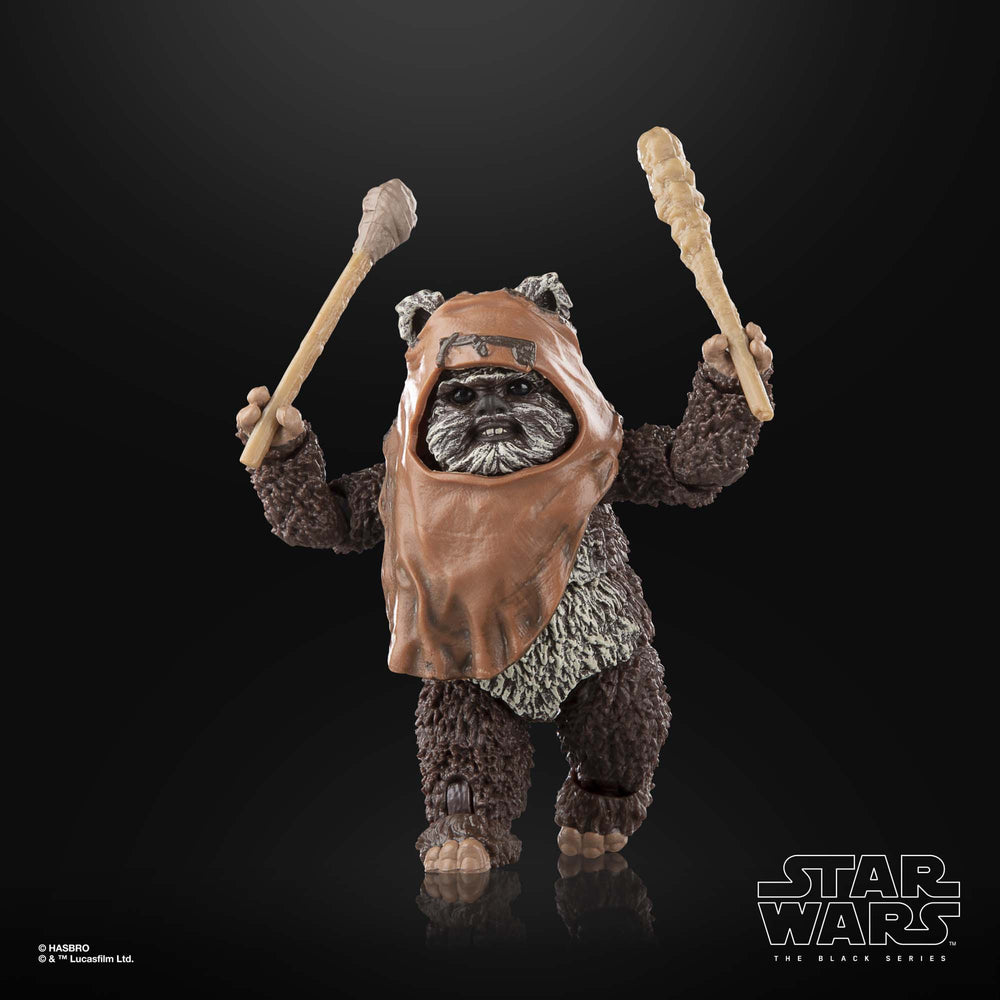 
                      
                        Star Wars - Wicket Actionfigur
                      
                    