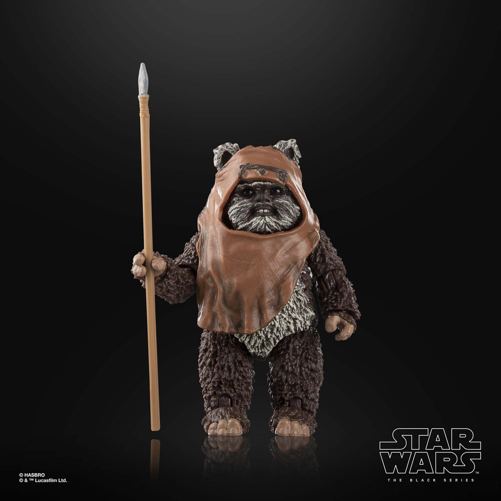 
                      
                        Star Wars - Wicket Actionfigur
                      
                    