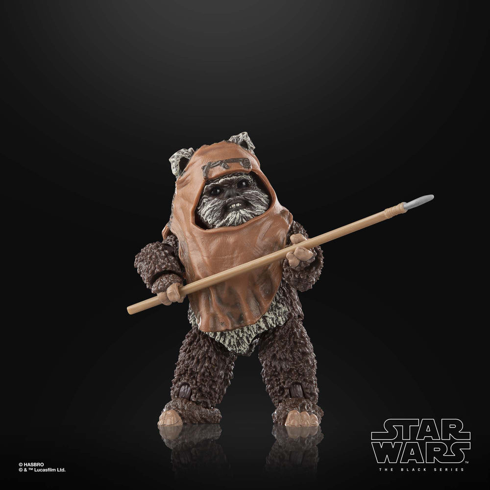 
                      
                        Star Wars - Wicket Actionfigur
                      
                    