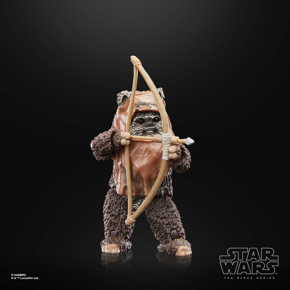 
                      
                        Star Wars - Wicket (Return of the Jedi) Hasbro Actionfigur
                      
                    