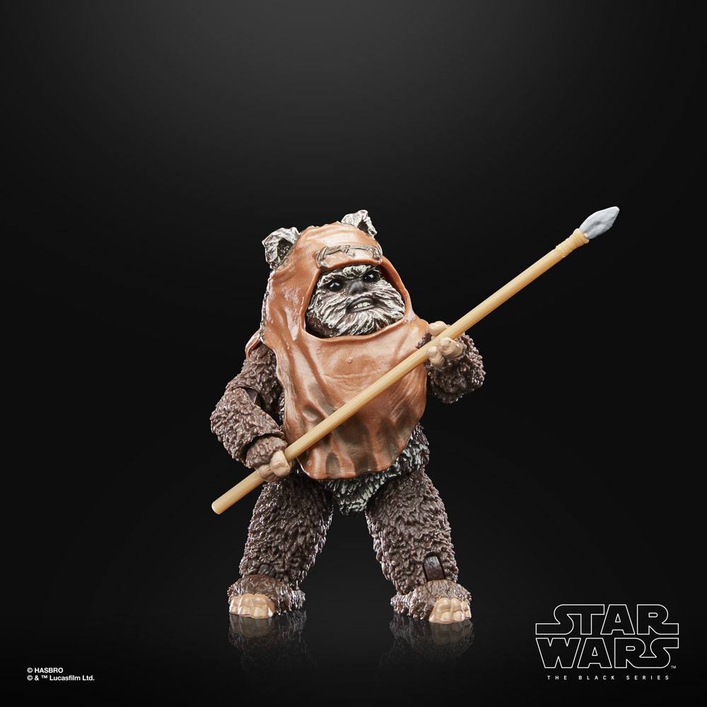 
                      
                        Star Wars - Wicket (Return of the Jedi) Hasbro Actionfigur
                      
                    