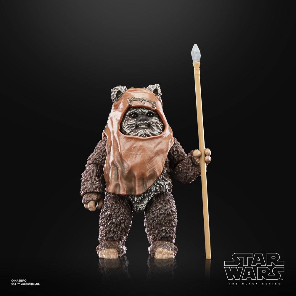 
                      
                        Star Wars - Wicket (Return of the Jedi) Hasbro Actionfigur
                      
                    