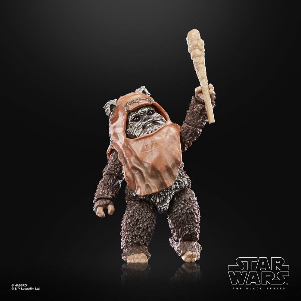 Star Wars - Wicket (Return of the Jedi) Hasbro Actionfigur