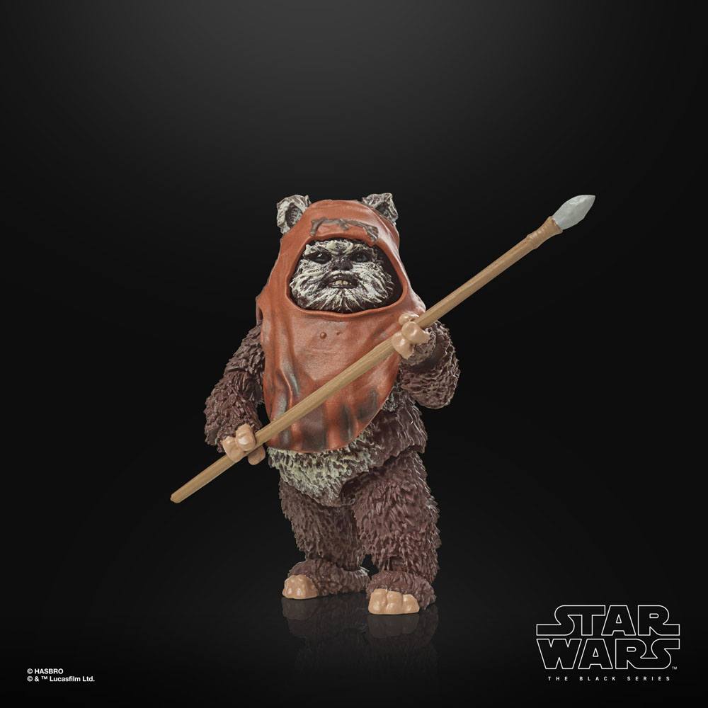 
                      
                        Star Wars - Wicket (Return of the Jedi) Hasbro Actionfigur
                      
                    