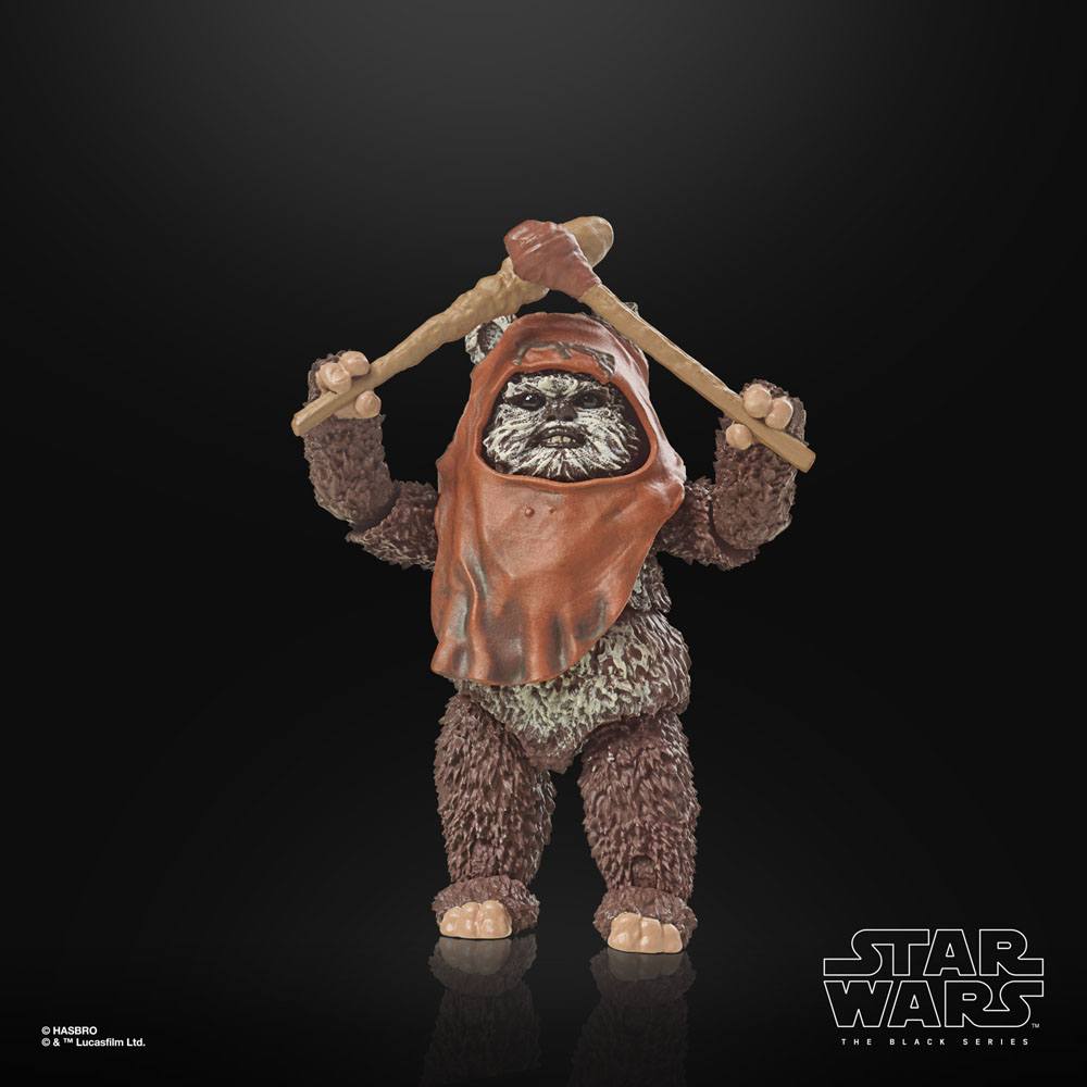 
                      
                        Star Wars - Wicket (Return of the Jedi) Hasbro Actionfigur
                      
                    