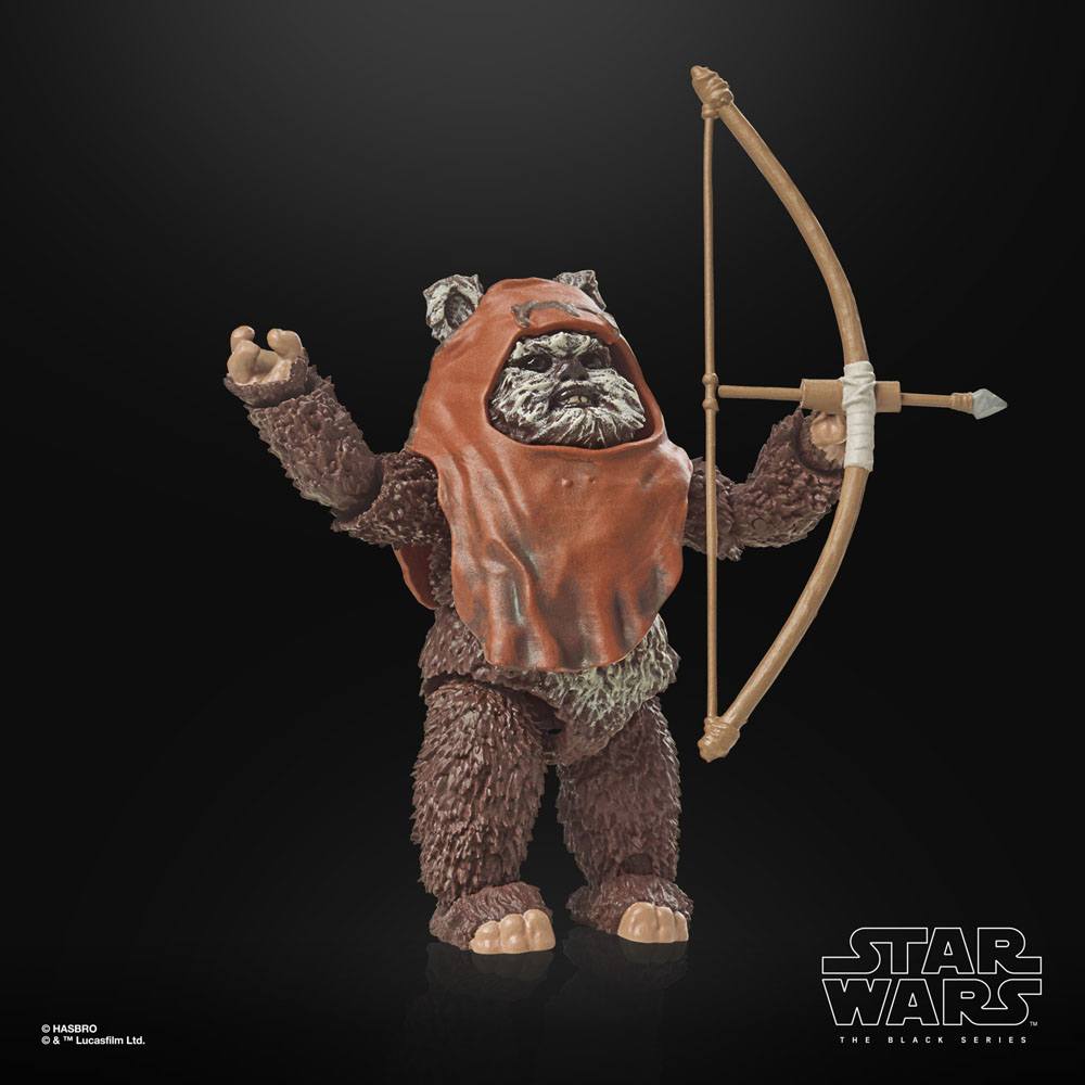 
                      
                        Star Wars - Wicket (Return of the Jedi) Hasbro Actionfigur
                      
                    