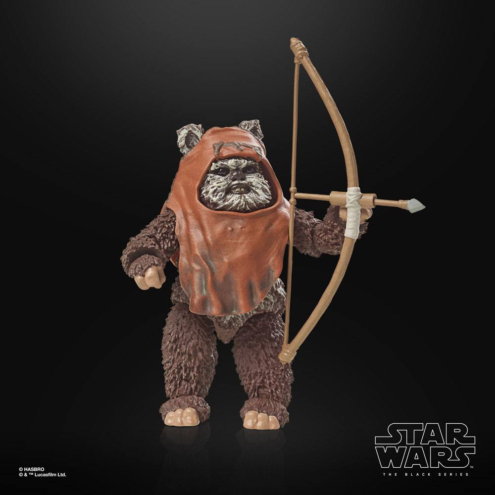 
                      
                        Star Wars - Wicket (Return of the Jedi) Hasbro Actionfigur
                      
                    