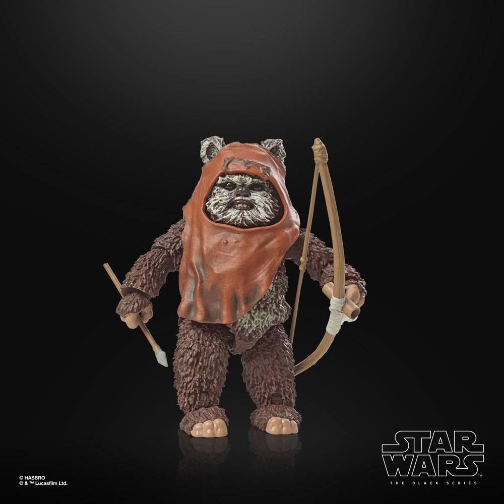 
                      
                        Star Wars - Wicket (Return of the Jedi) Hasbro Actionfigur
                      
                    