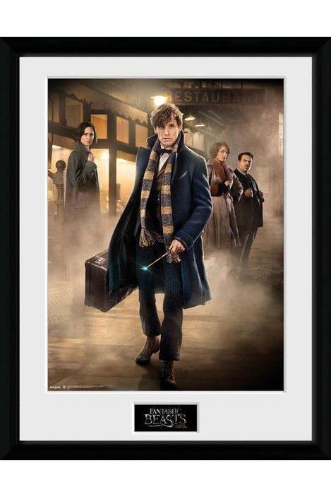 Fantastic Beasts | New York Poster im Rahmen - Stuffbringer